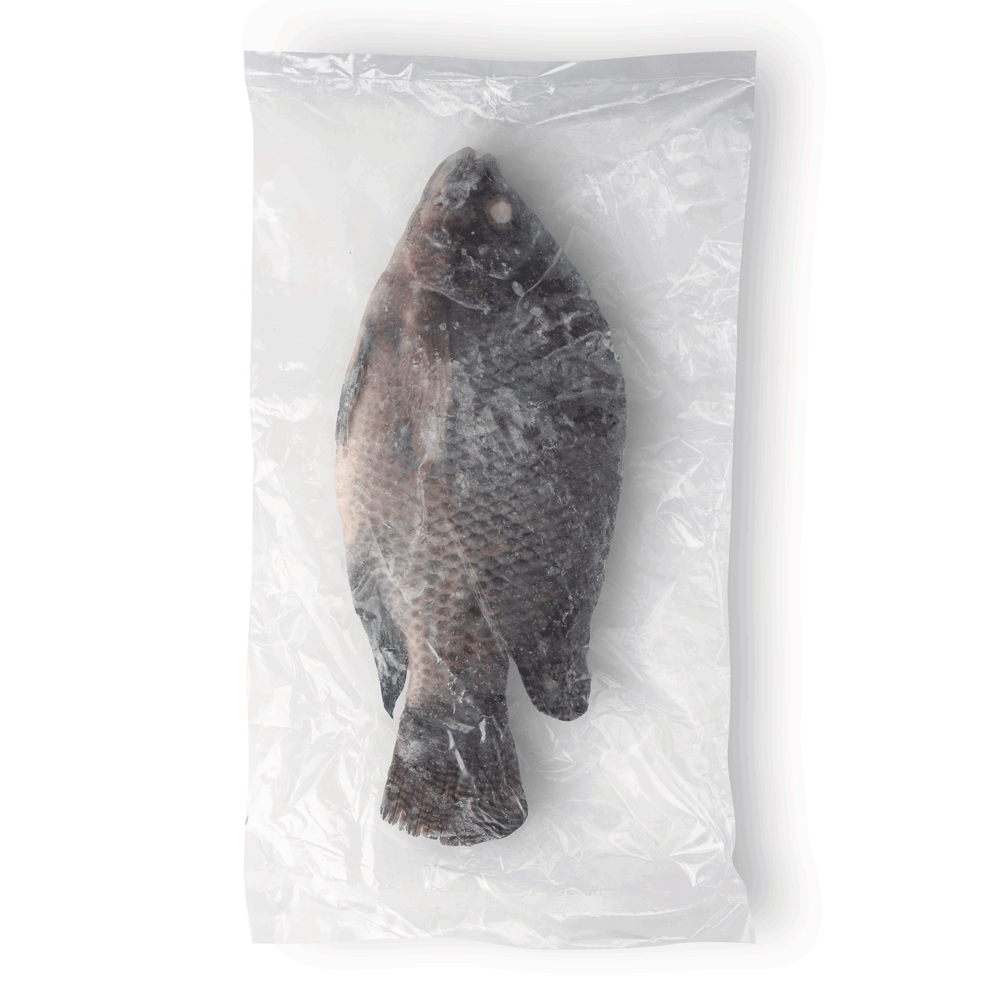 Frozen Tilapia