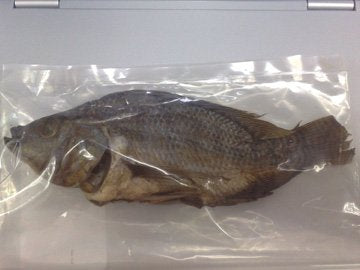 Smoked Tilapia